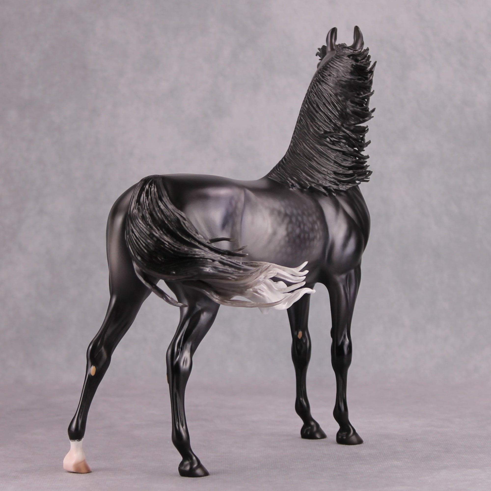 Cortani OOAK Dappled Dark Grey Arabian Stallion By Caroline Boydston - Best Offer 10/22/24