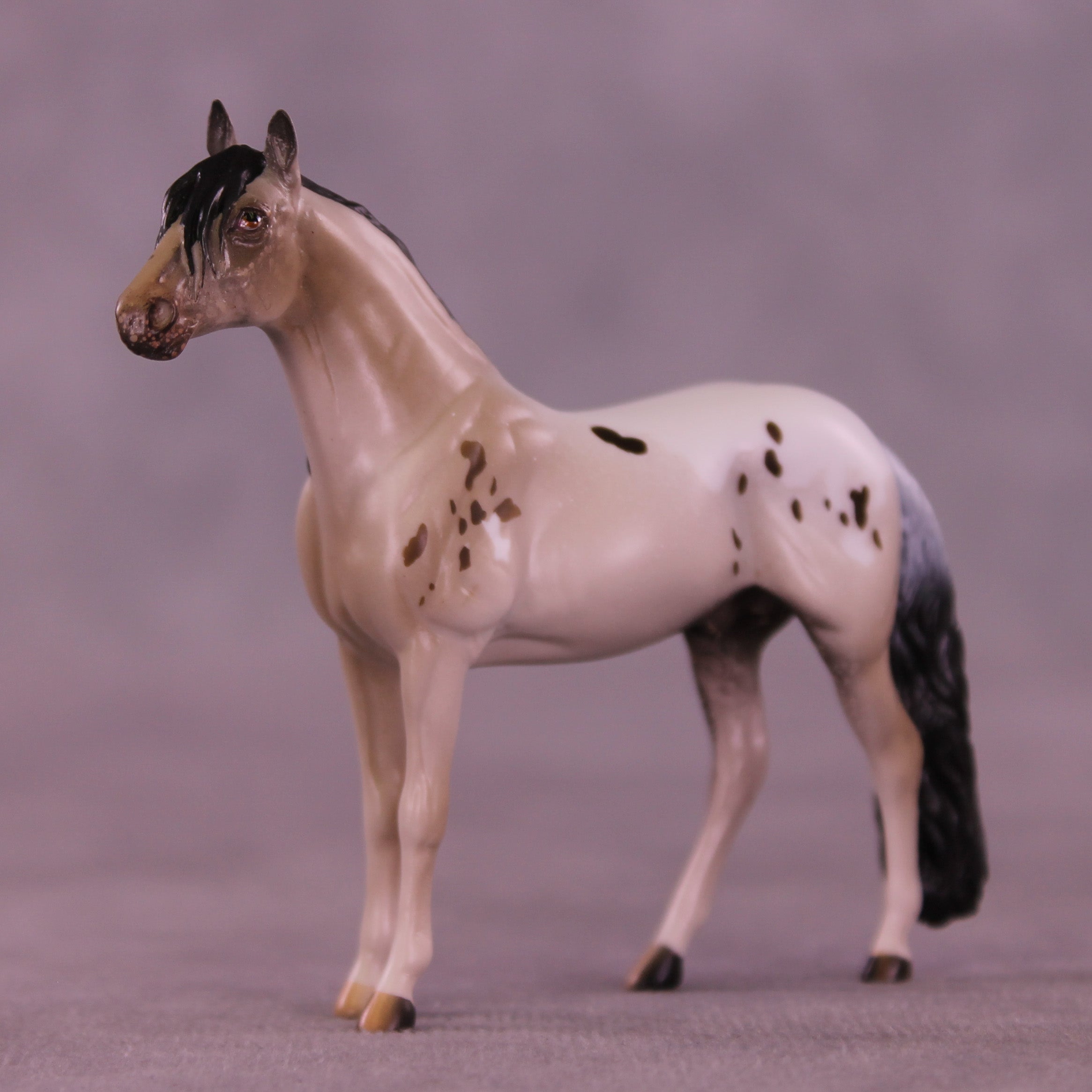 Canon LE-5 Chip Andalusian by Anna Rieck February $99 Chips