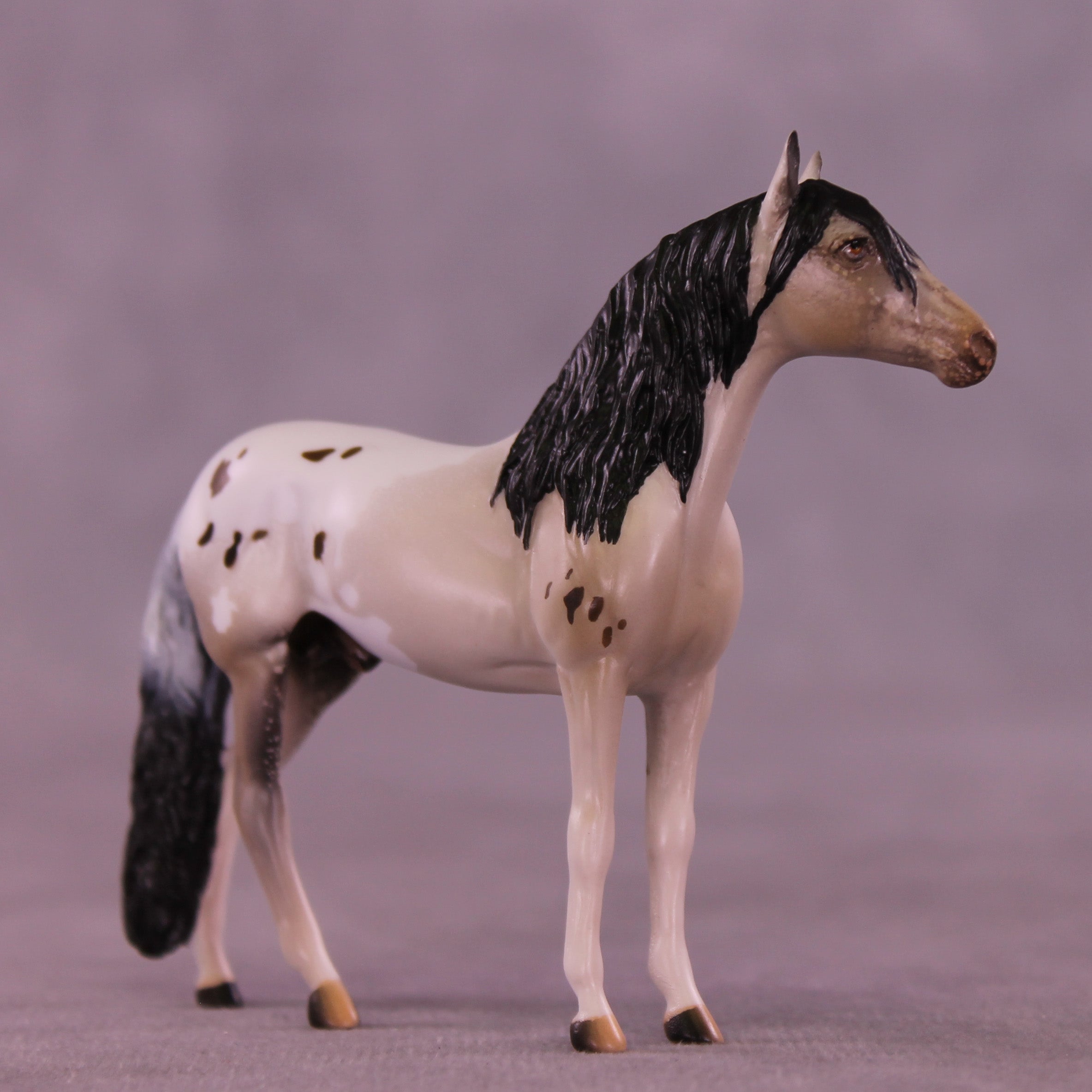 Canon LE-5 Chip Andalusian by Anna Rieck February $99 Chips