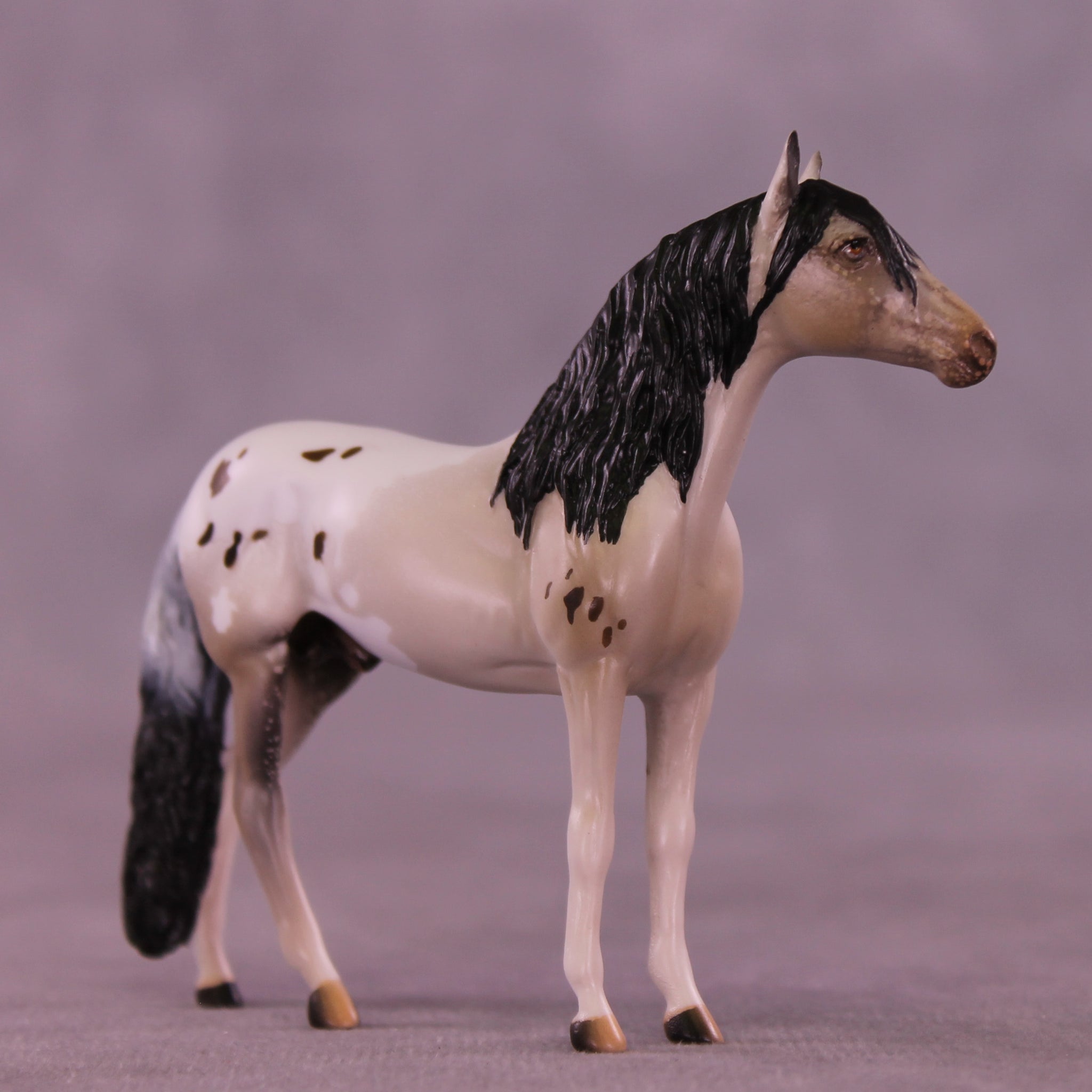 Canon LE-5 Chip Andalusian by Anna Rieck February $99 Chips