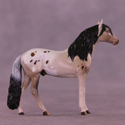Canon LE-5 Chip Andalusian by Anna Rieck February $99 Chips