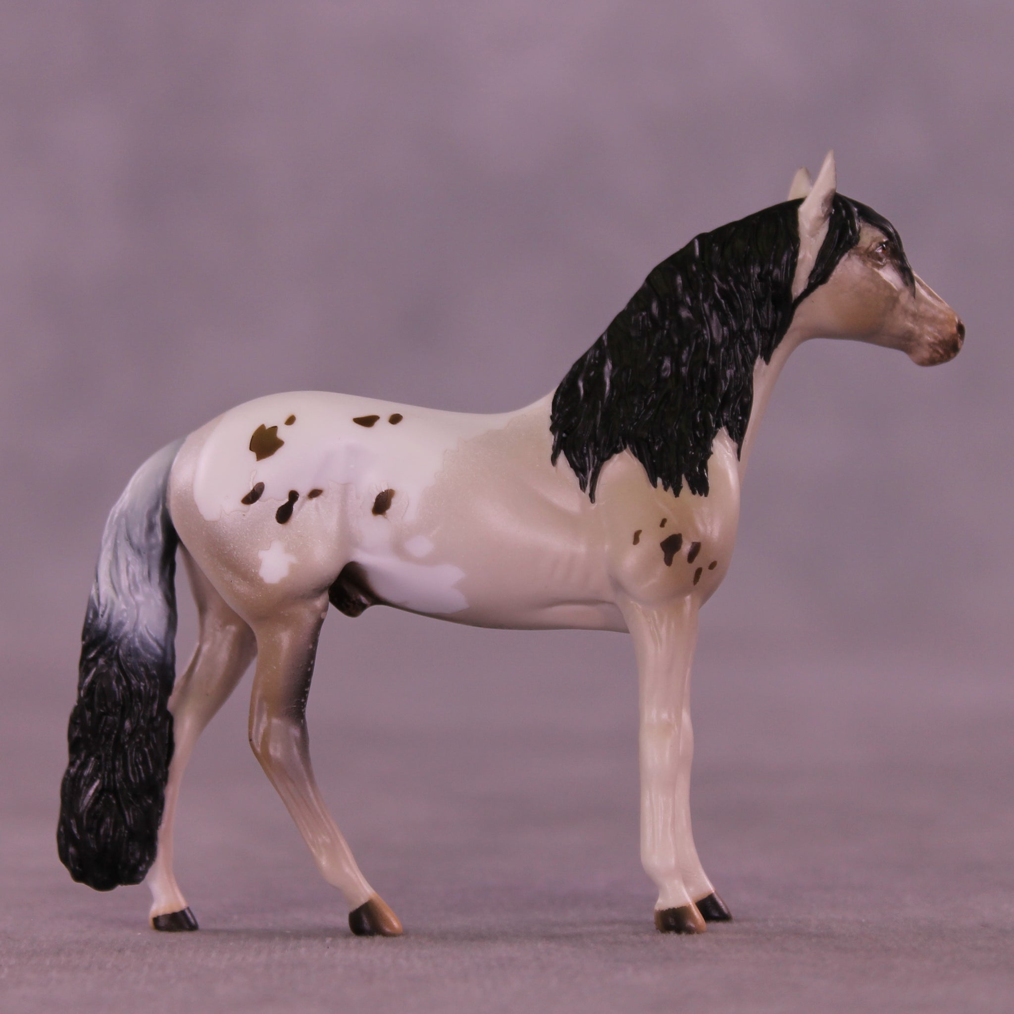 Canon LE-5 Chip Andalusian by Anna Rieck February $99 Chips