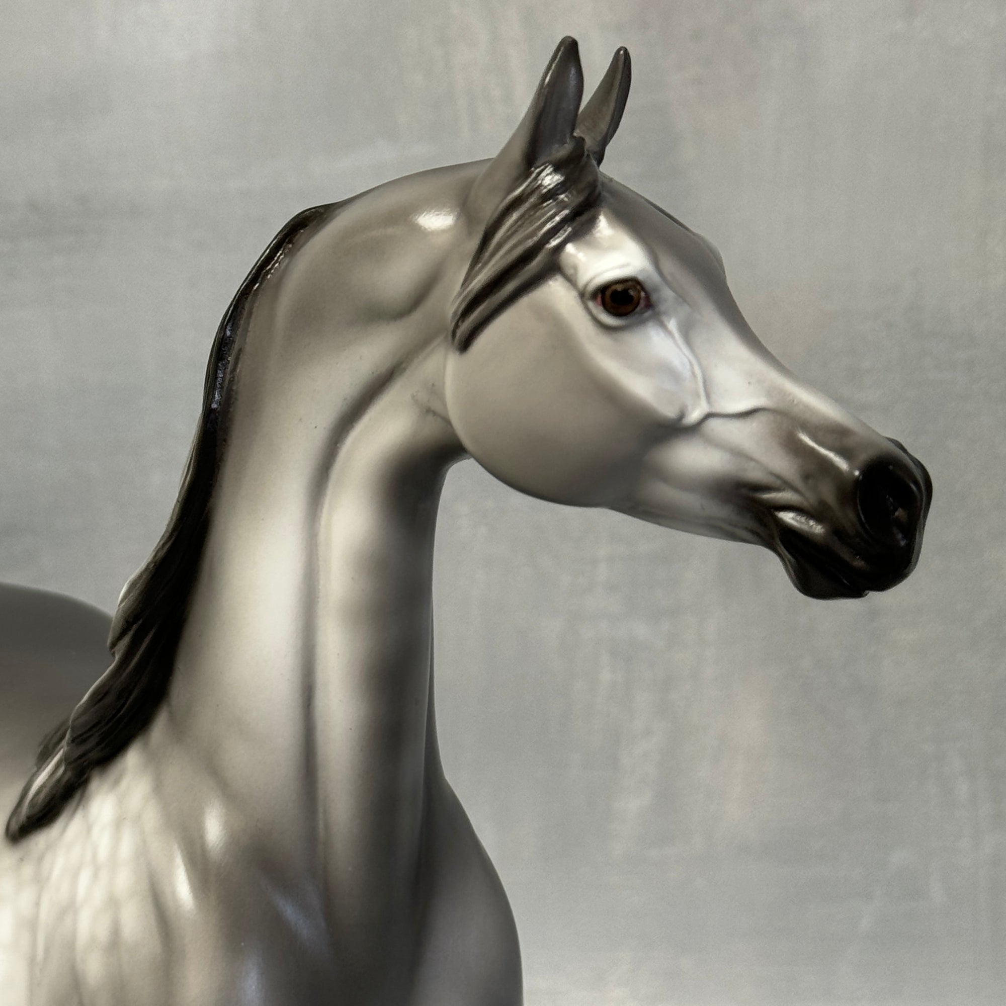 Polynesia &amp; Dr. Doolittle LE-30 Arabian Stallions by Ellen Robbins &amp; Jess Hamill Classic Literature Series 2024 CL24