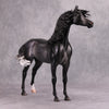 Cortani OOAK Dappled Dark Grey Arabian Stallion By Caroline Boydston - Best Offer 10/22/24