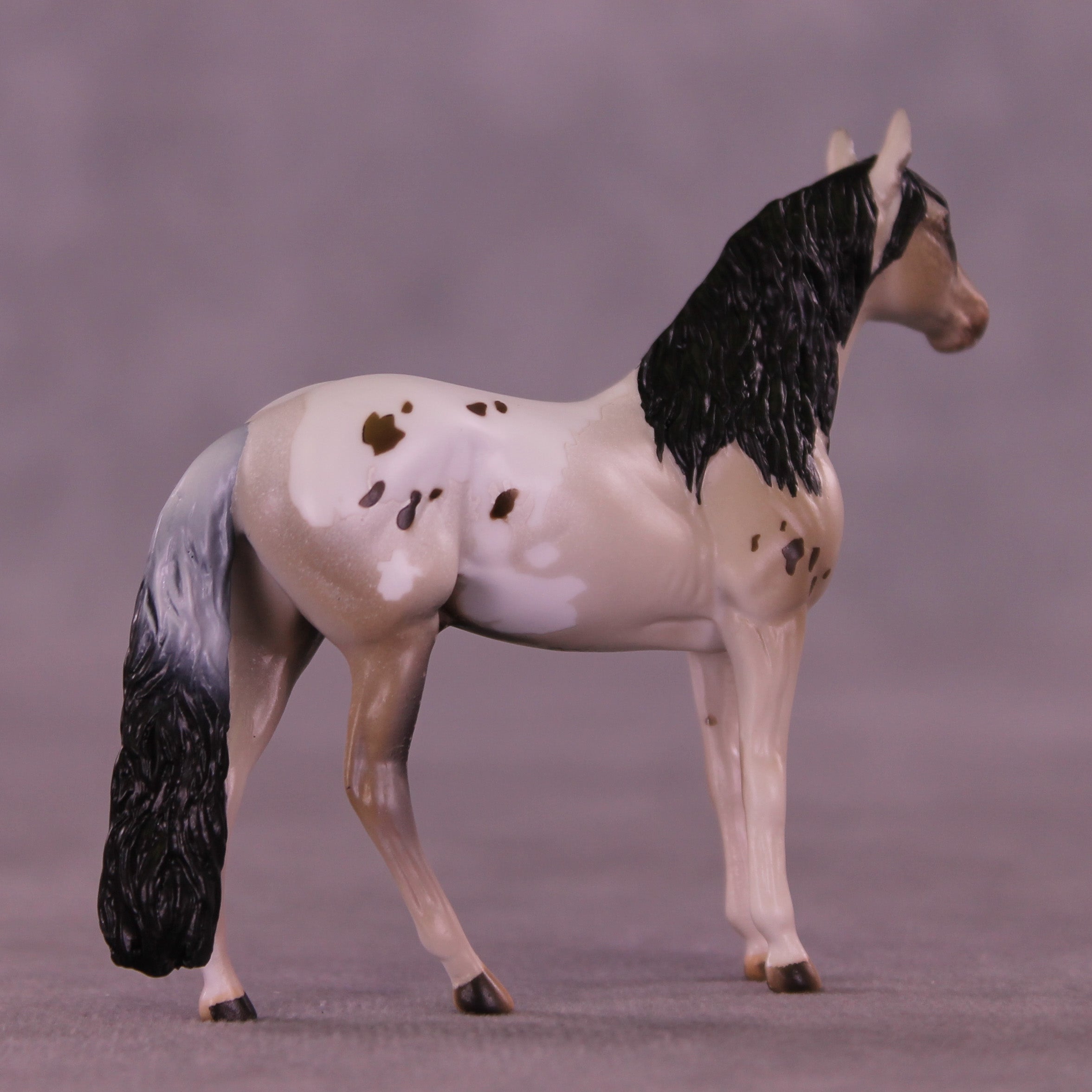 Canon LE-5 Chip Andalusian by Anna Rieck February $99 Chips