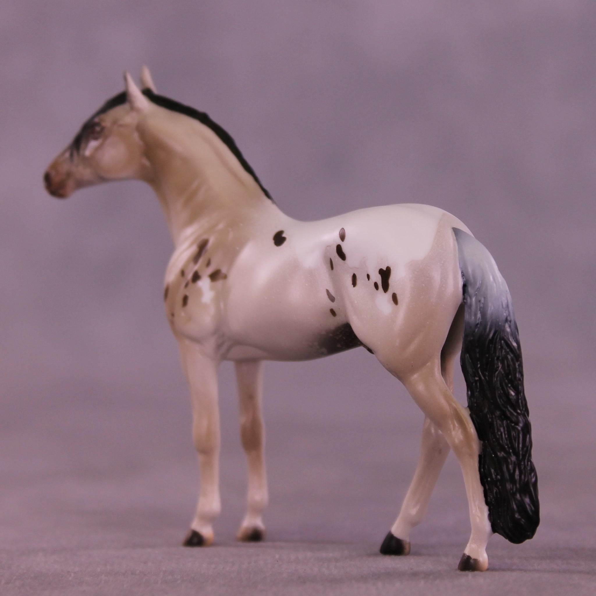 Canon LE-5 Chip Andalusian by Anna Rieck February $99 Chips