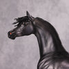 Cortani OOAK Dappled Dark Grey Arabian Stallion By Caroline Boydston - Best Offer 10/22/24