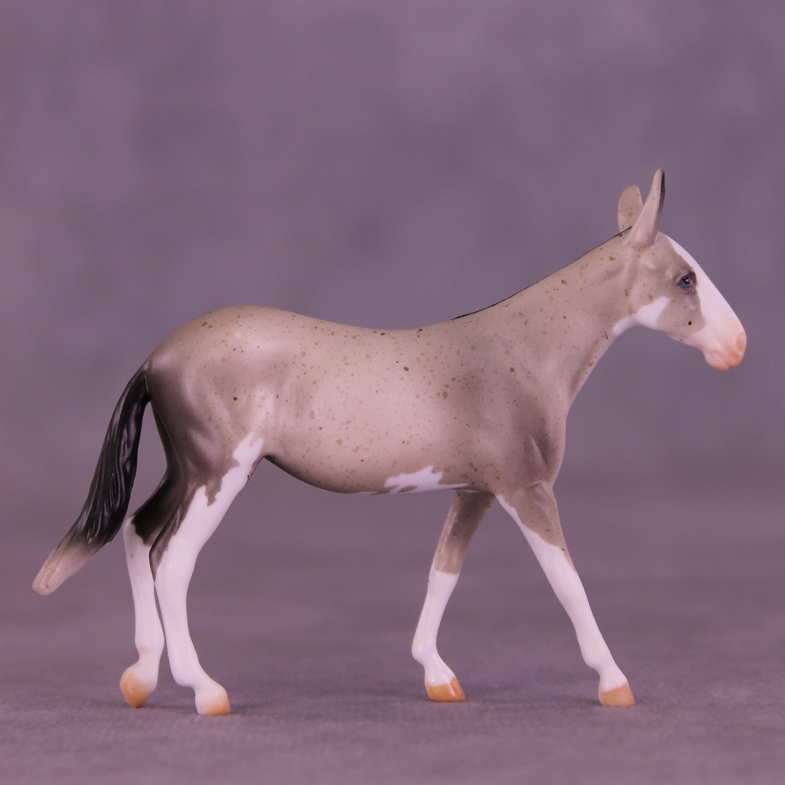 Lens LE-5 Chip Mule by Anna Rieck February $99 Chips