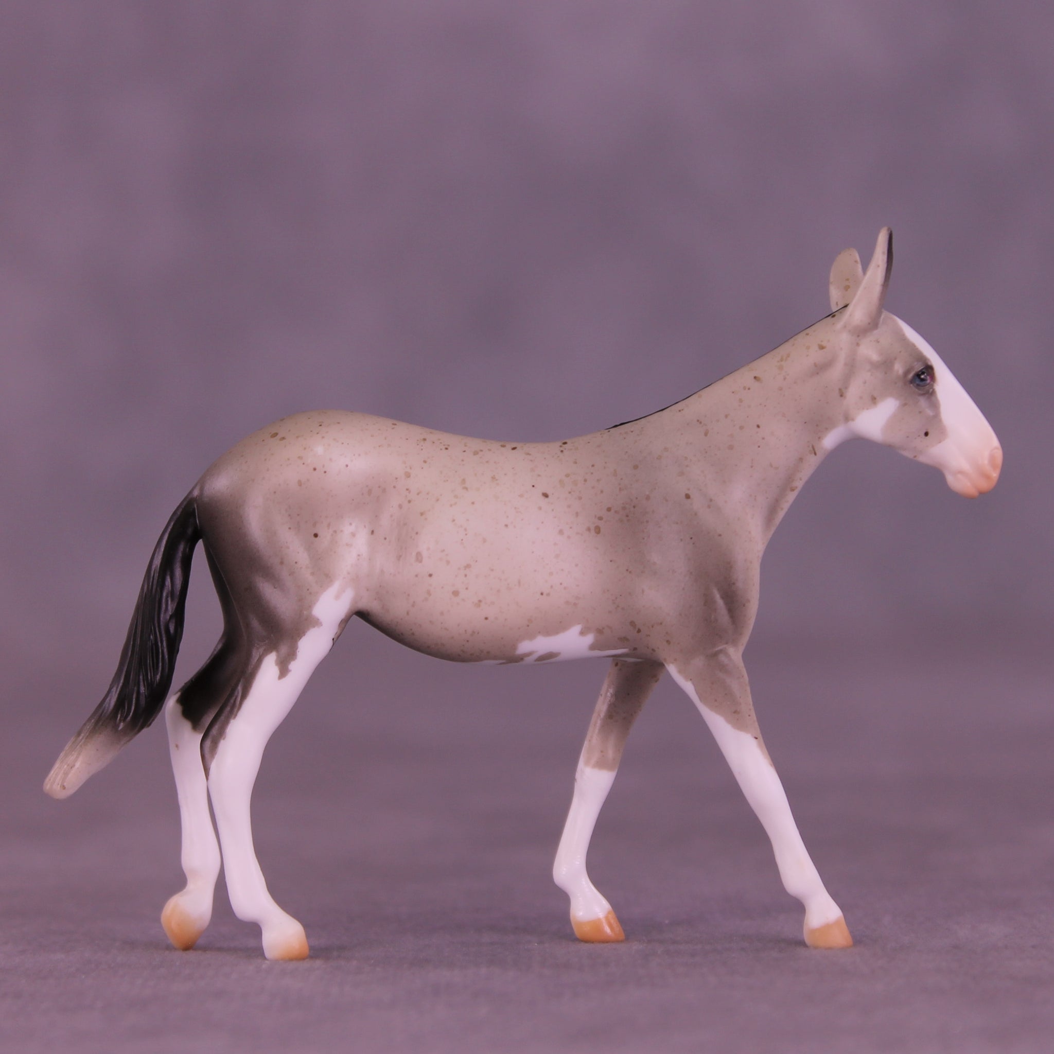 Lens LE-5 Chip Mule by Anna Rieck February $99 Chips