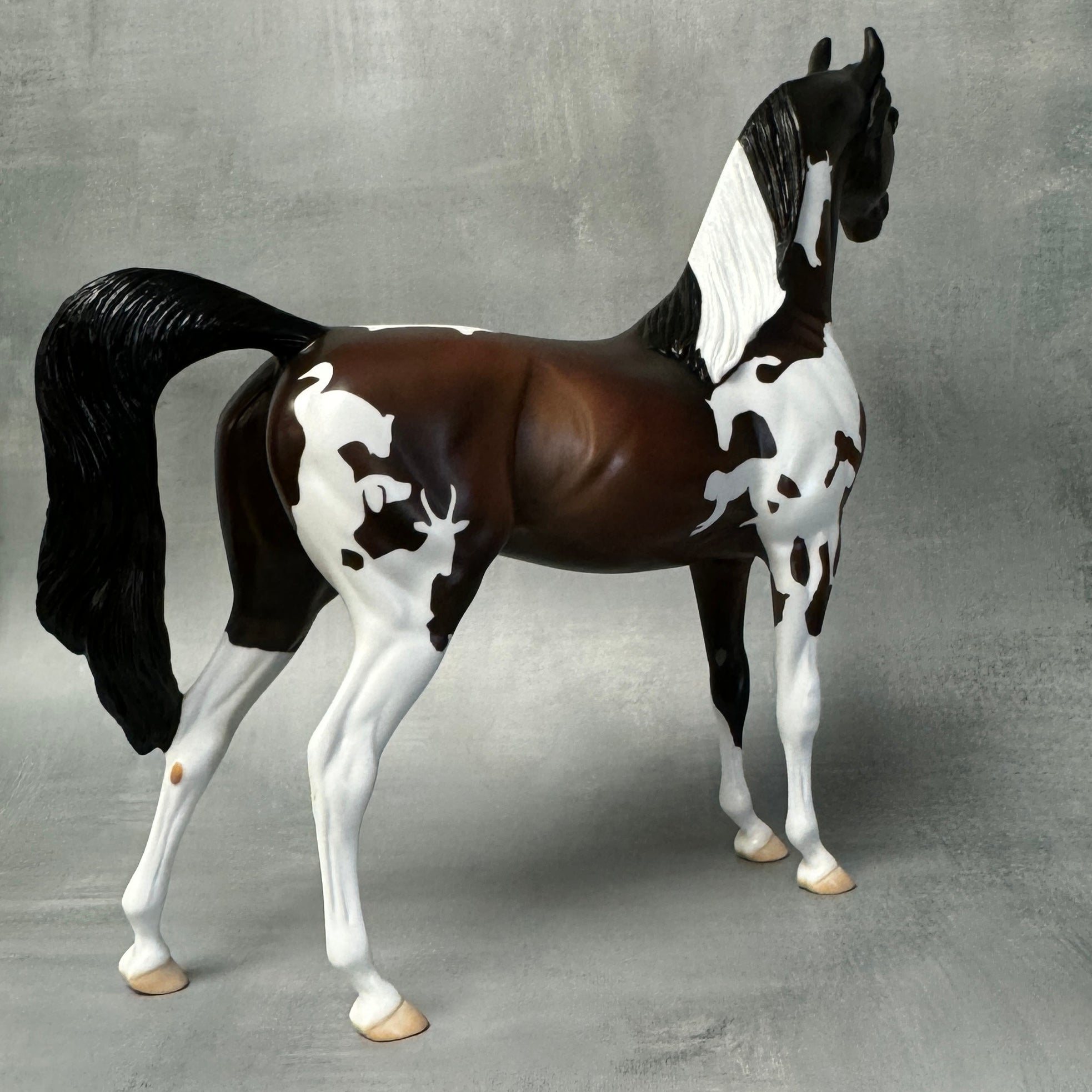 Polynesia &amp; Dr. Doolittle LE-30 Arabian Stallions by Ellen Robbins &amp; Jess Hamill Classic Literature Series 2024 CL24