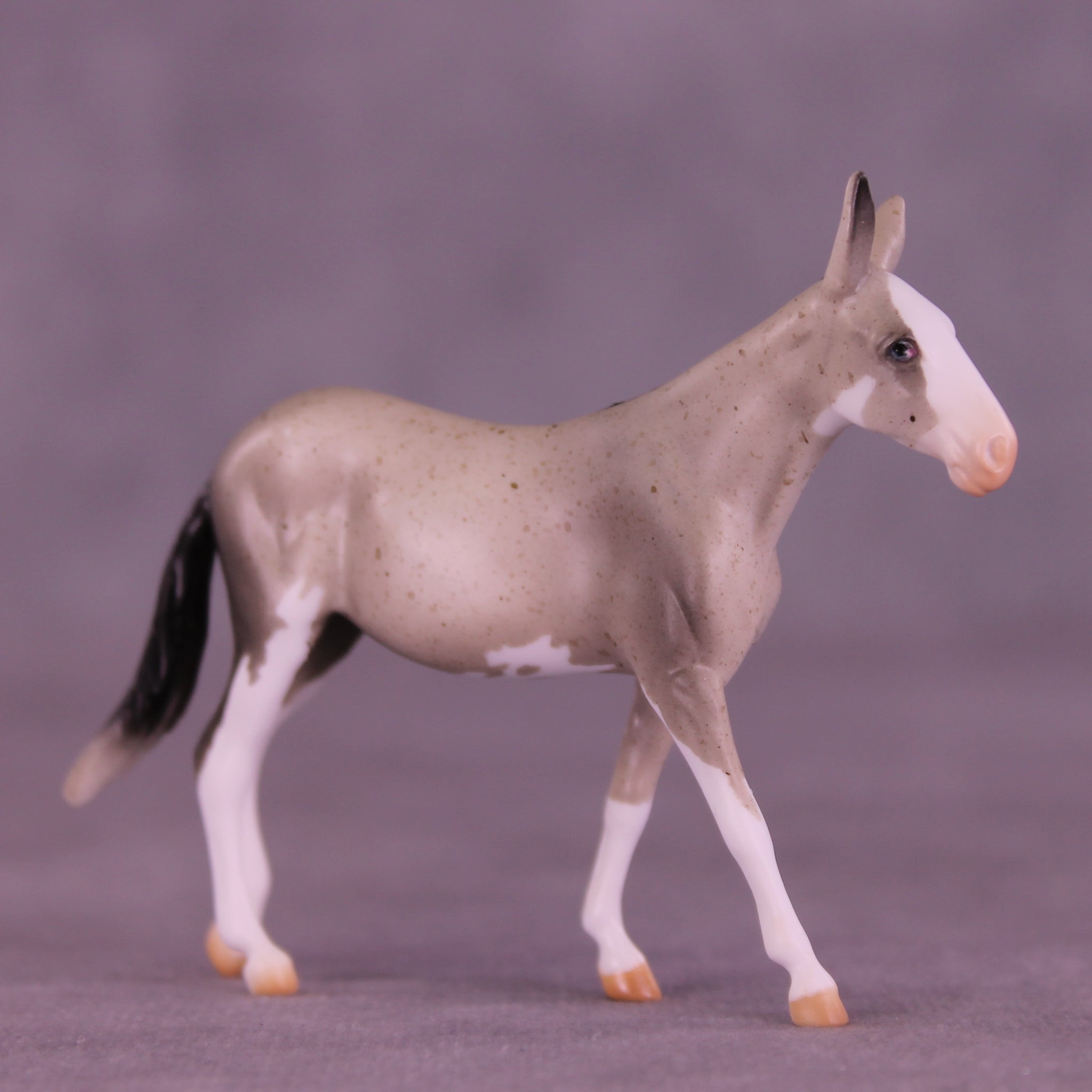 Lens LE-5 Chip Mule by Anna Rieck February $99 Chips