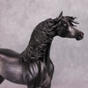 Cortani OOAK Dappled Dark Grey Arabian Stallion By Caroline Boydston - Best Offer 10/22/24