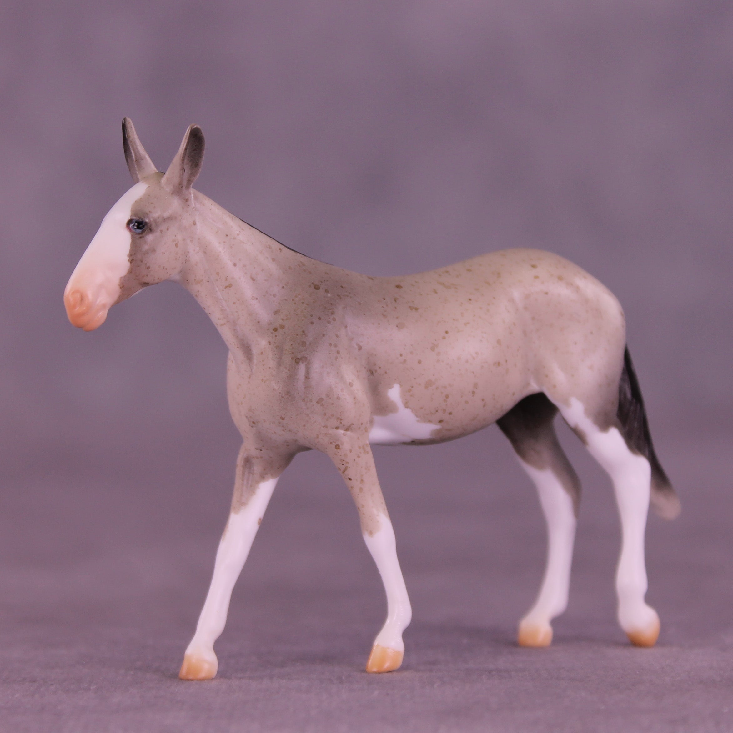 Lens LE-5 Chip Mule by Anna Rieck February $99 Chips