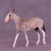 Lens LE-5 Chip Mule by Anna Rieck February $99 Chips
