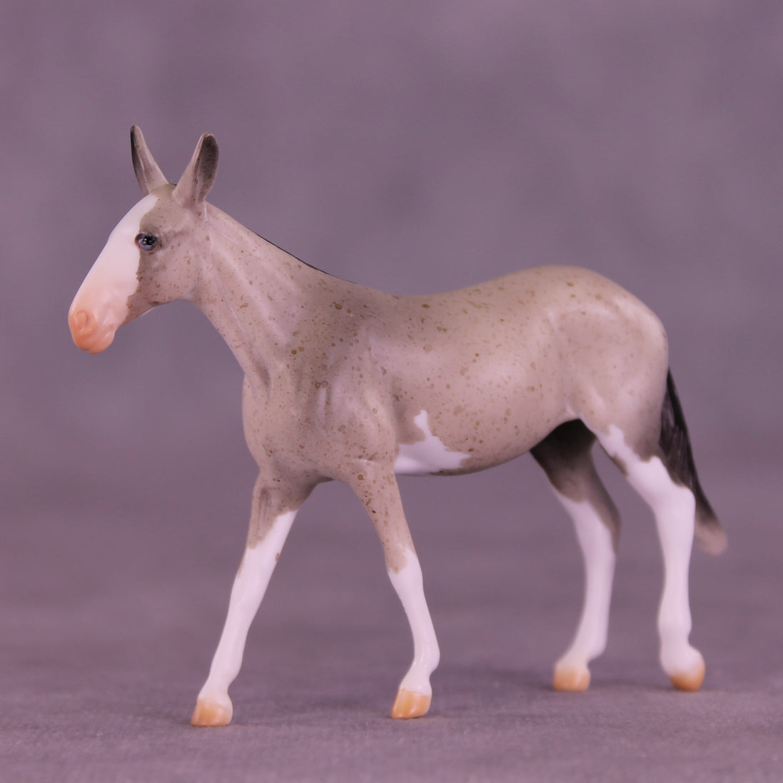 Lens LE-5 Chip Mule by Anna Rieck February $99 Chips