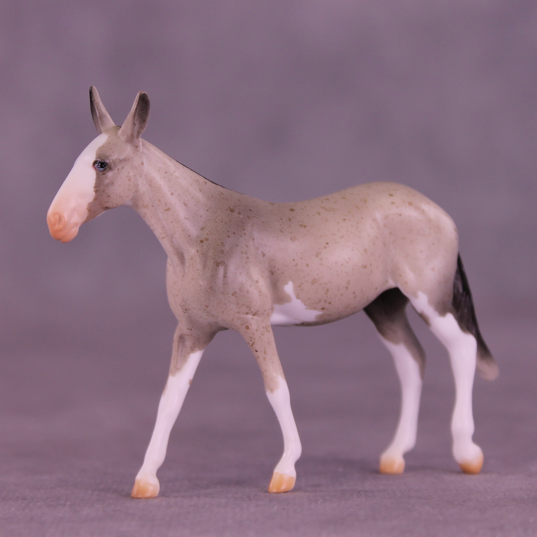 Lens LE-5 Chip Mule by Anna Rieck February $99 Chips