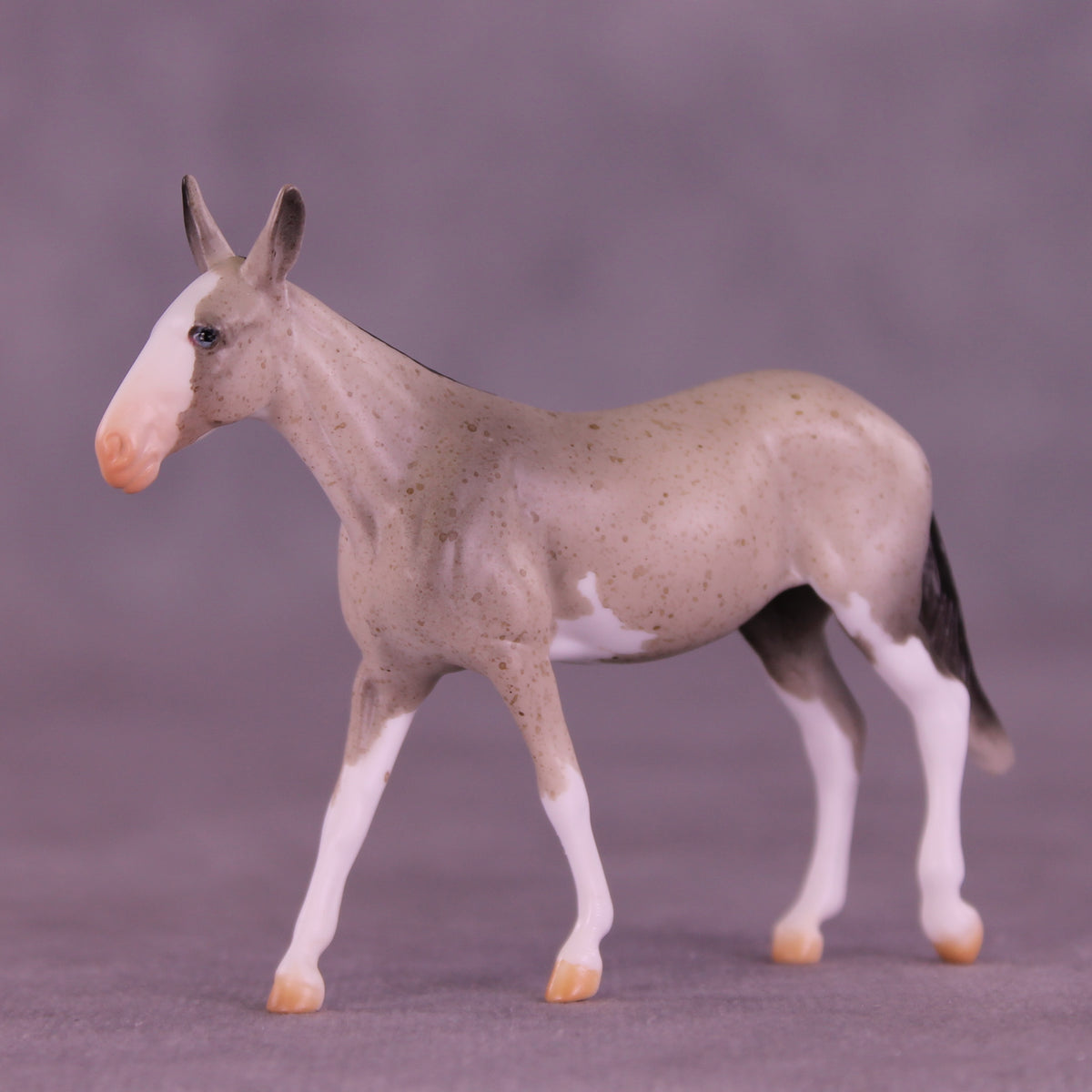 Lens LE-5 Chip Mule by Anna Rieck February $99 Chips