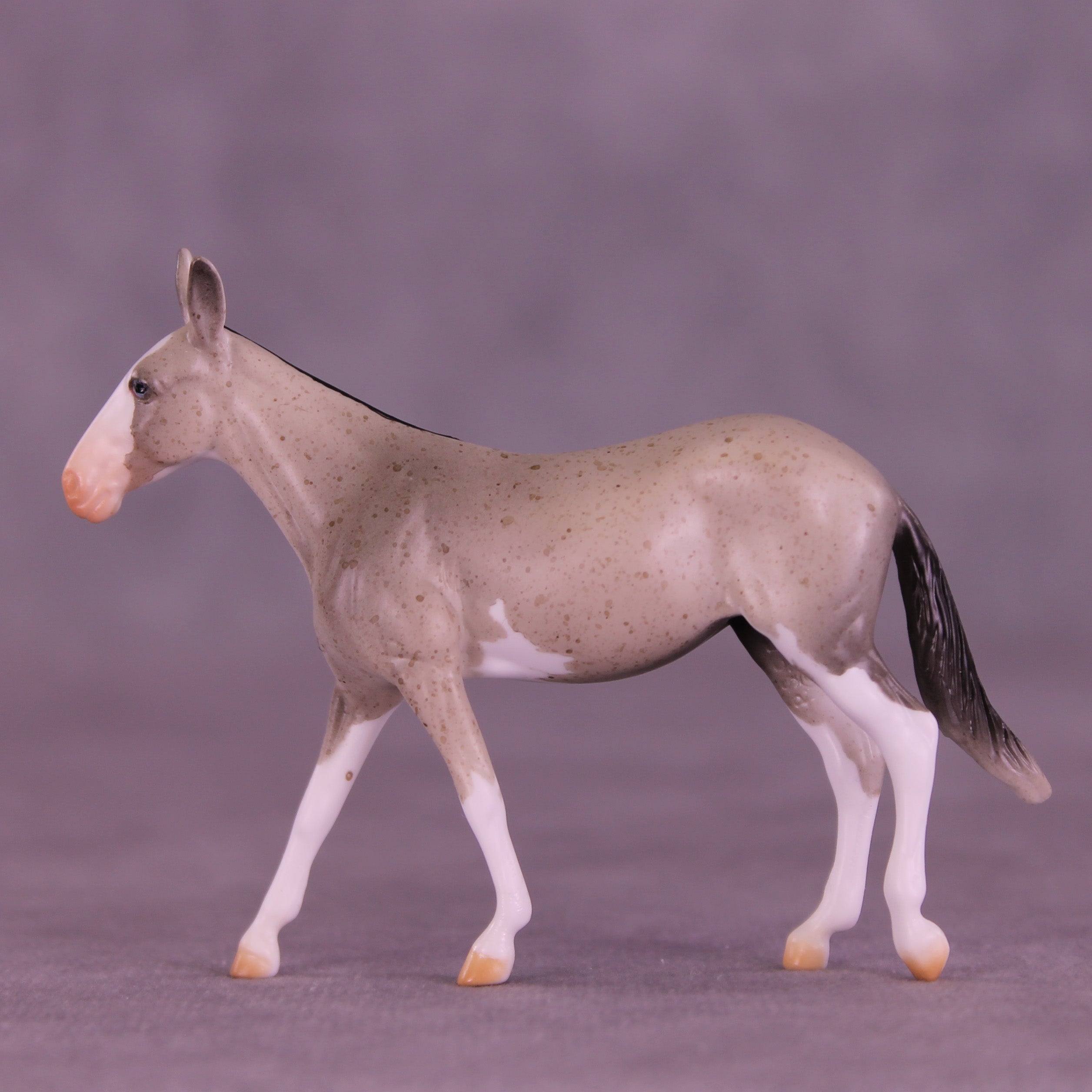 Lens LE-5 Chip Mule by Anna Rieck February $99 Chips