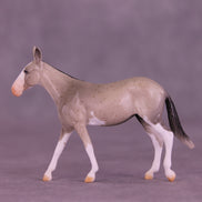 Lens LE-5 Chip Mule by Anna Rieck February $99 Chips