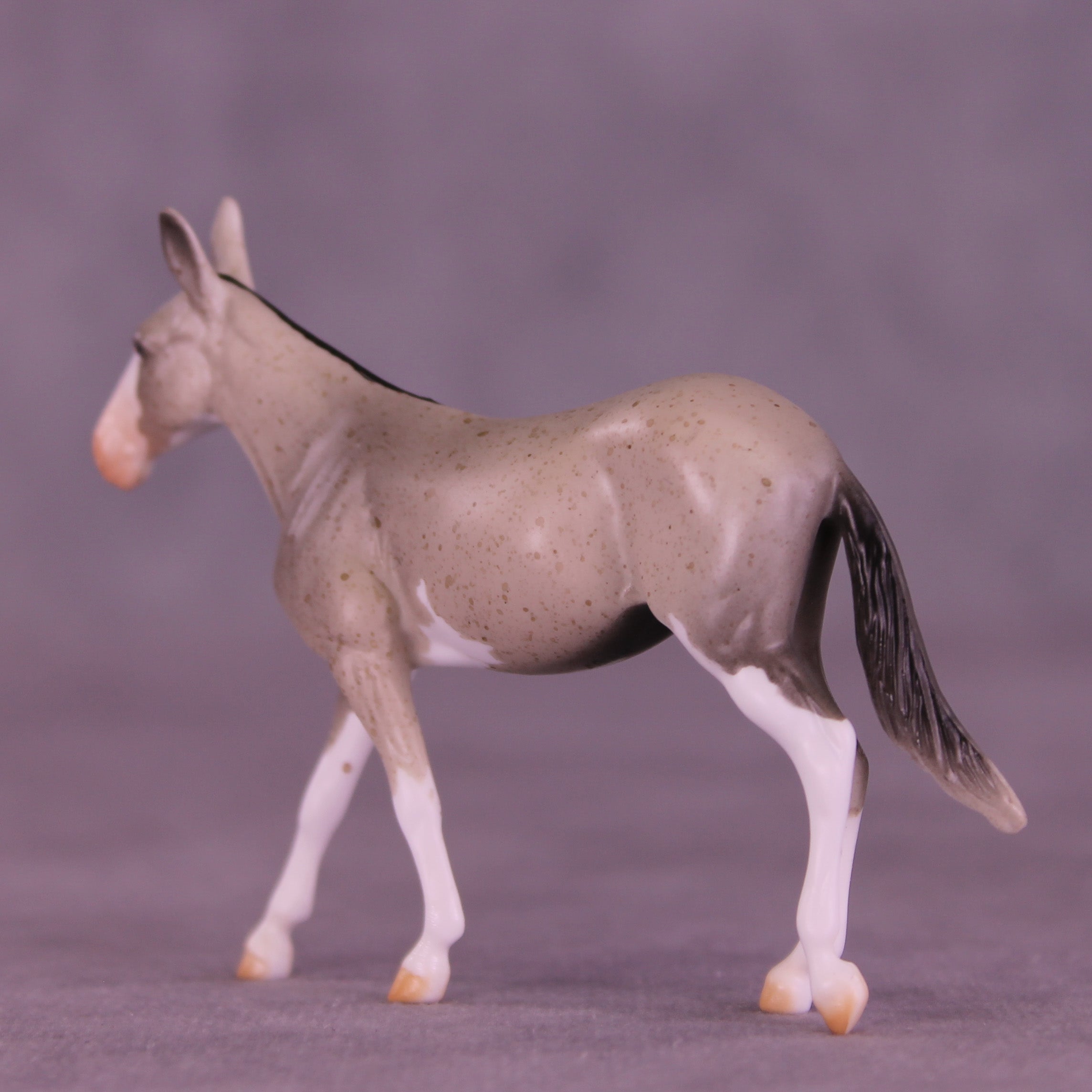 Lens LE-5 Chip Mule by Anna Rieck February $99 Chips