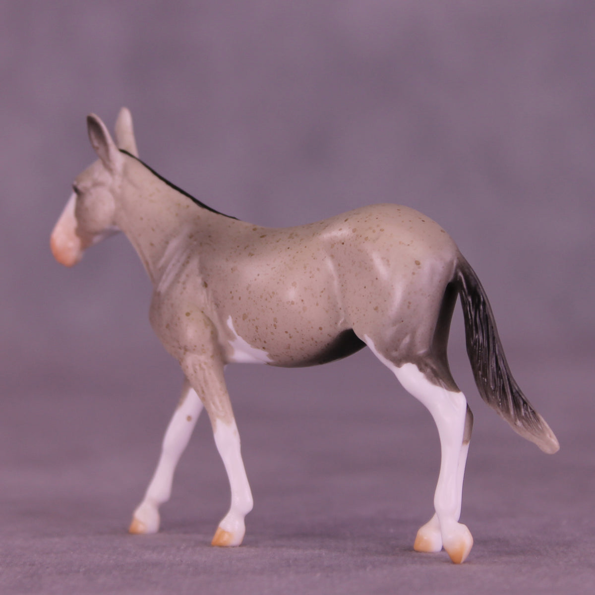 Lens LE-5 Chip Mule by Anna Rieck February $99 Chips