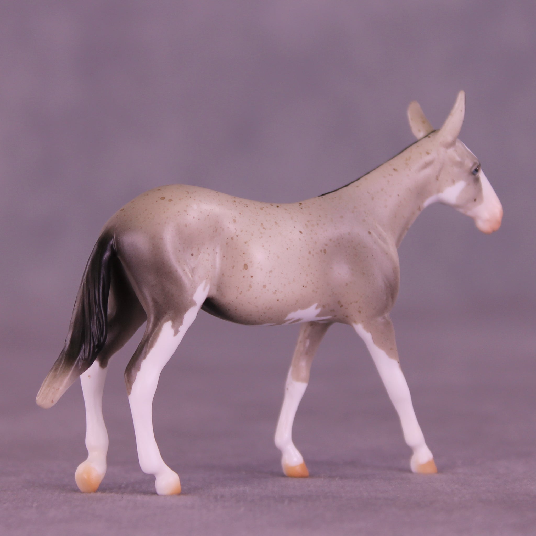 Lens LE-5 Chip Mule by Anna Rieck February $99 Chips