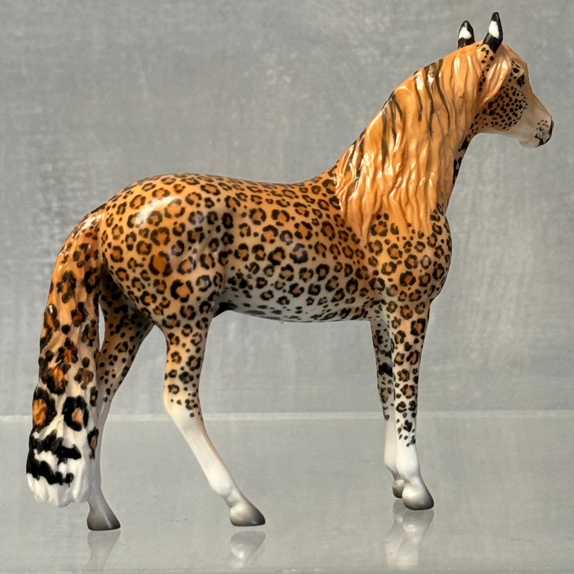 Dr. Doolittle Chip Grab Bags 😍 One Per Customer Please - 9 Grab Bags Available!