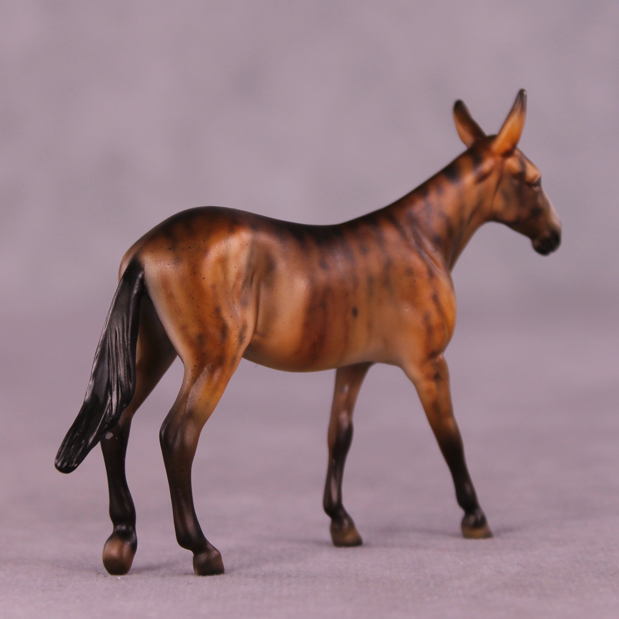 Butter Brickle OOAK Mule Chip by Dawn Quick LHS25