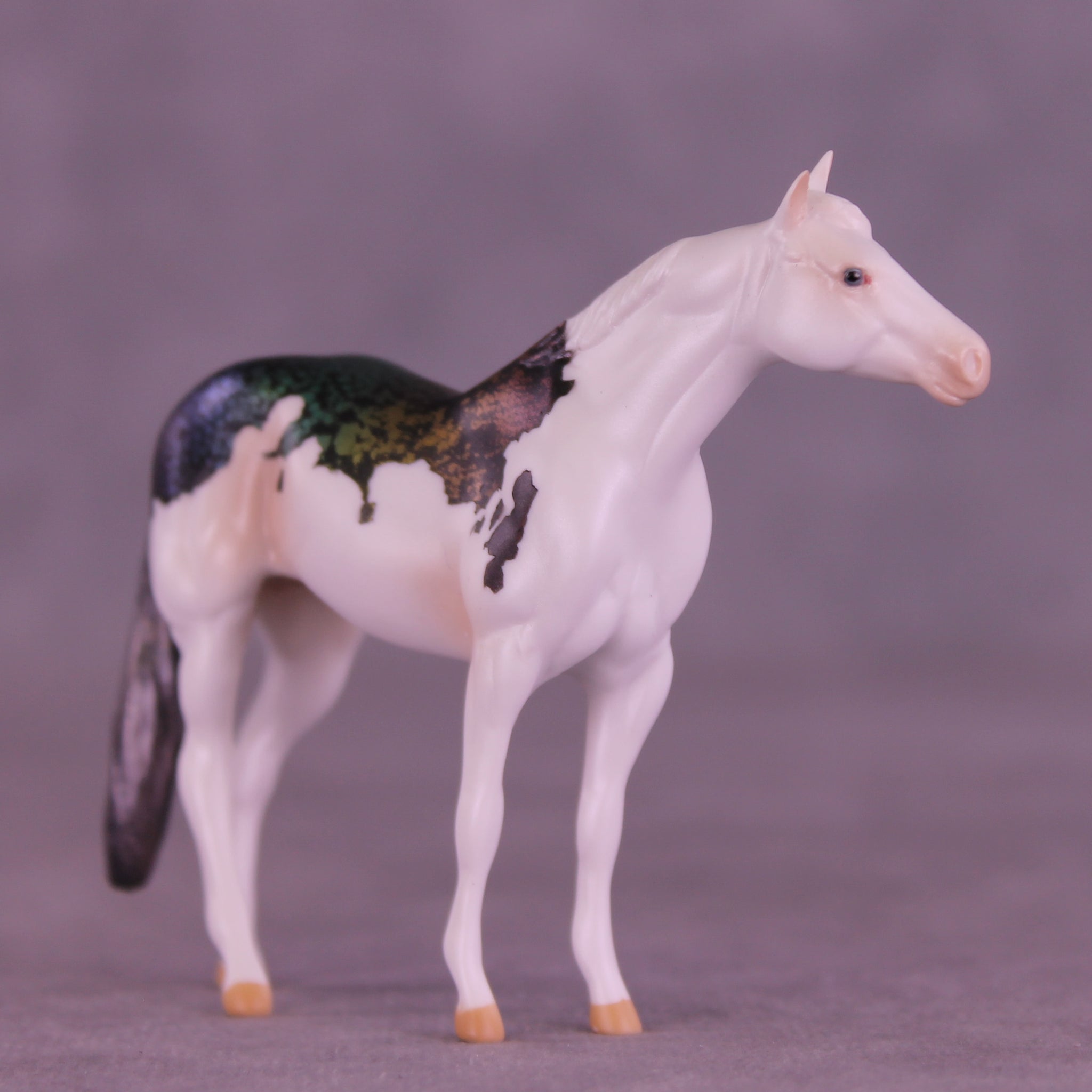Kodachrome LE-5 Chip Stock Horse by Anna Rieck February $99 Chips
