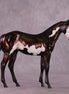"Sedulous" OOAK Weanling by Julie Keim EQ25