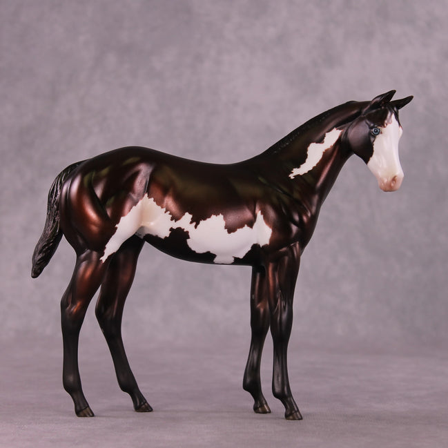 "Sedulous" OOAK Weanling by Julie Keim EQ25
