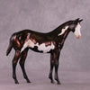 &quot;Sedulous&quot; OOAK Weanling by Julie Keim EQ25