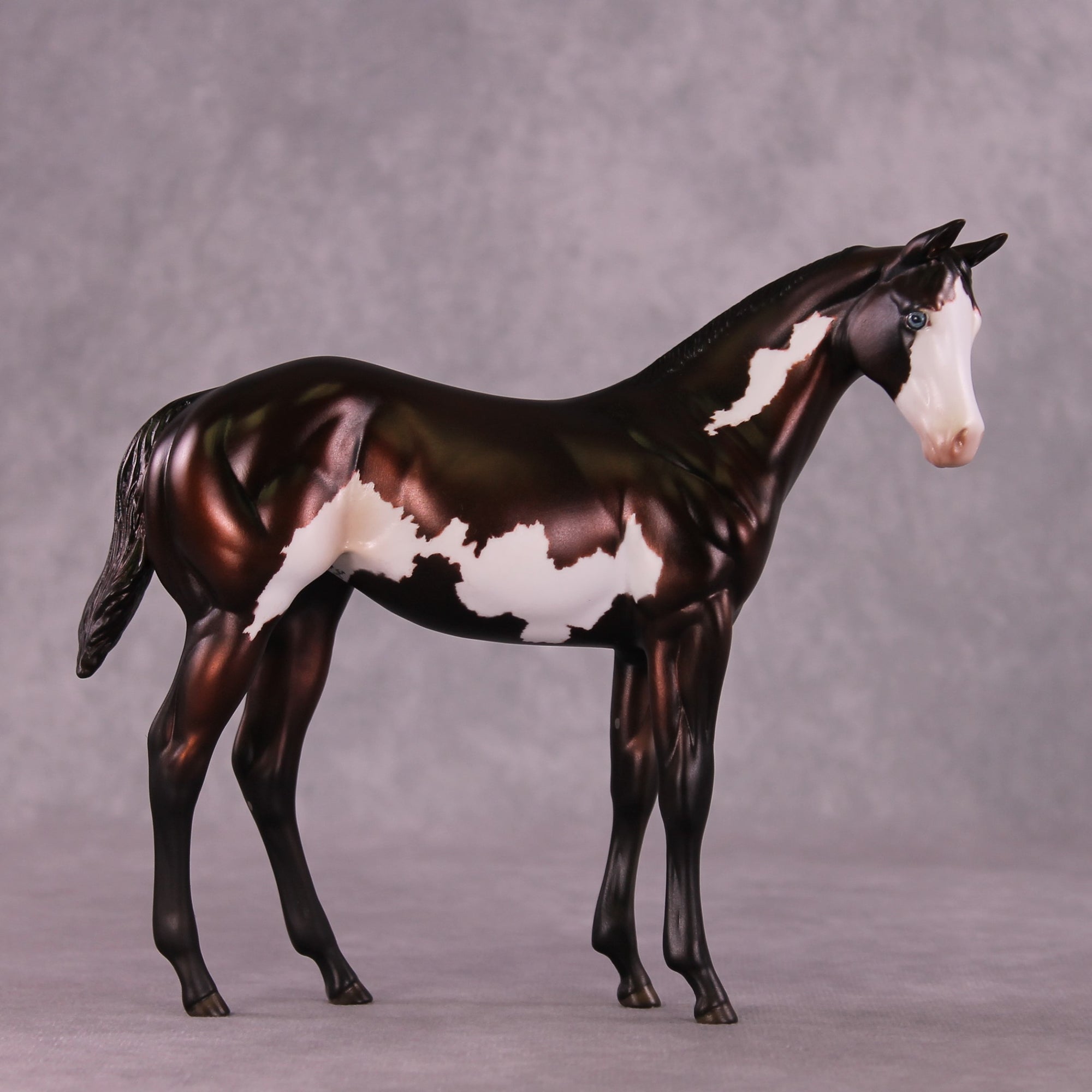 "Sedulous" OOAK Weanling by Julie Keim EQ25