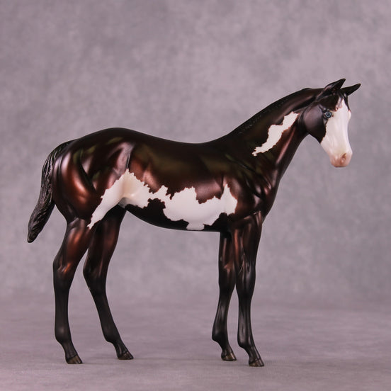 "Sedulous" OOAK Weanling by Julie Keim EQ25