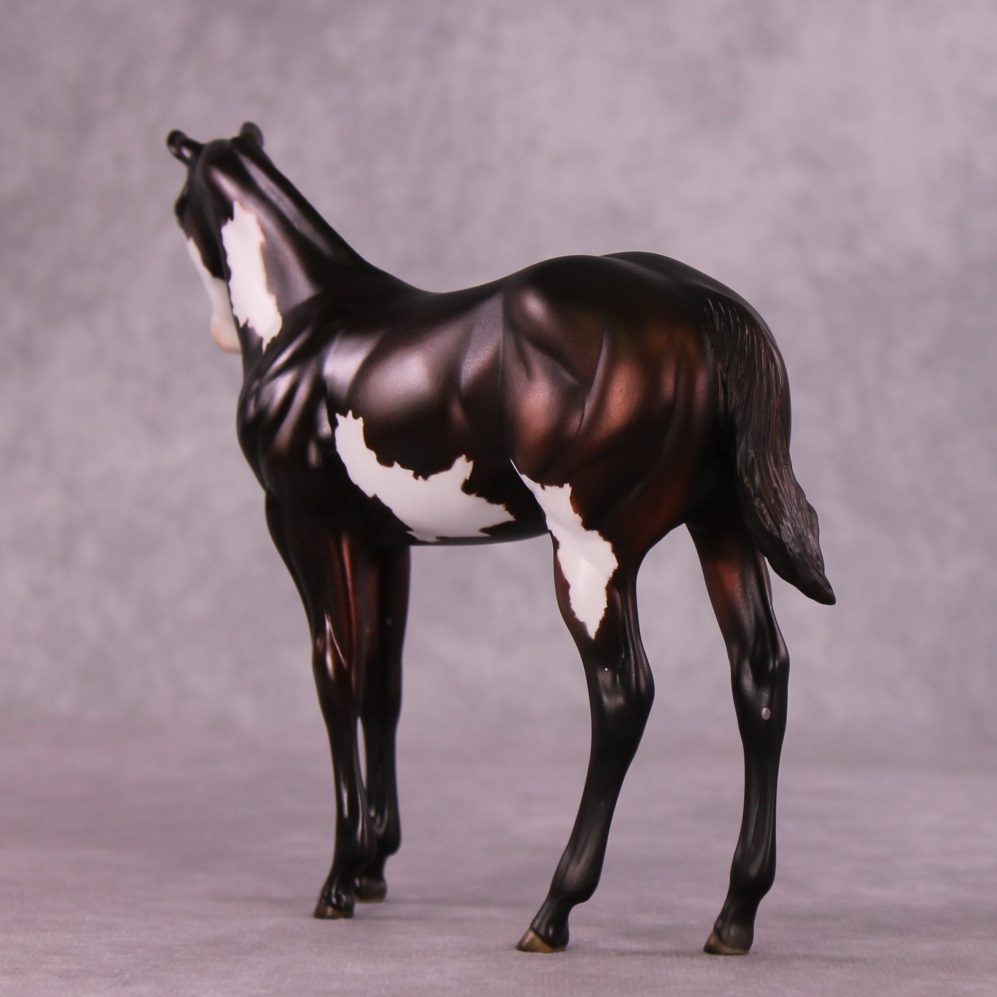 "Sedulous" OOAK Weanling by Julie Keim EQ25
