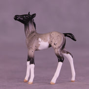 Pixel LE-5 Chip Foal by Anna Rieck February $99 Chips