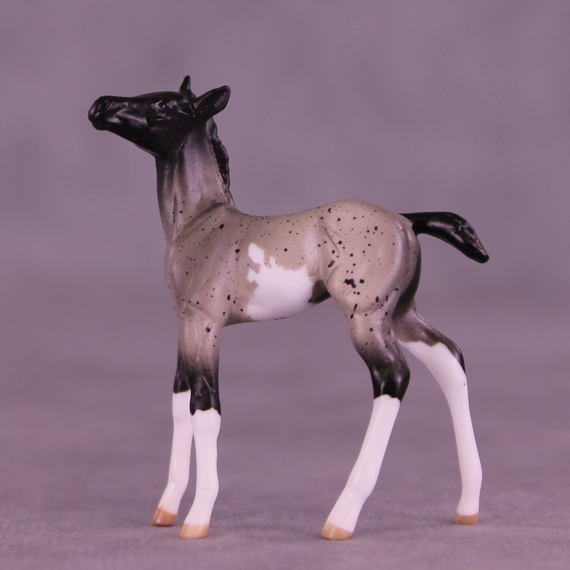 Pixel LE-5 Chip Foal by Anna Rieck February $99 Chips