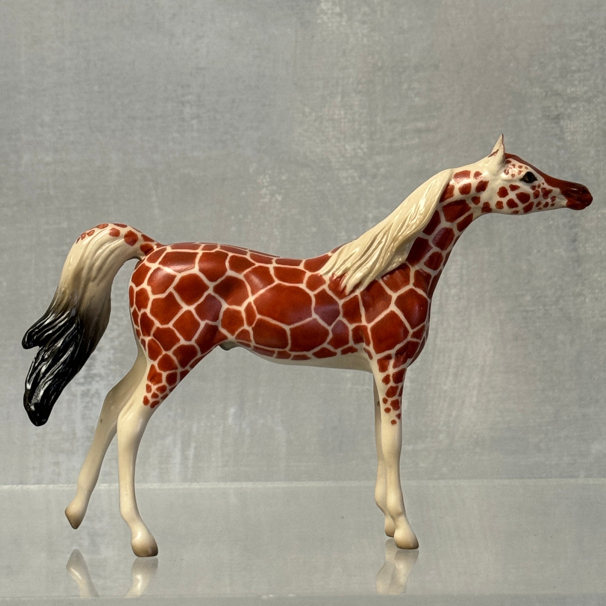 Dr. Doolittle Chip Grab Bags 😍 One Per Customer Please - 9 Grab Bags Available!