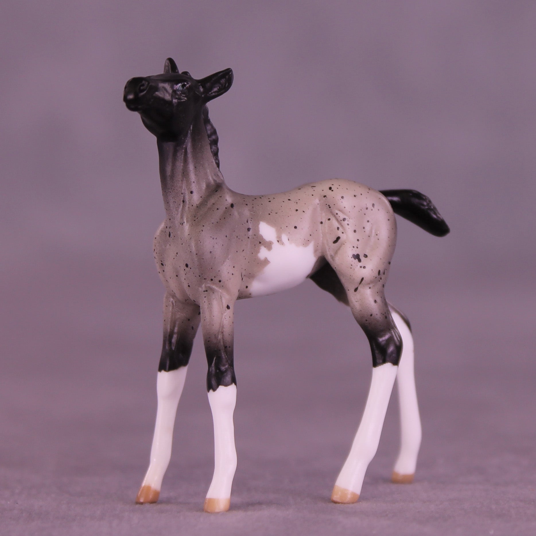 Pixel LE-5 Chip Foal by Anna Rieck February $99 Chips