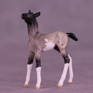Pixel LE-5 Chip Foal by Anna Rieck February $99 Chips
