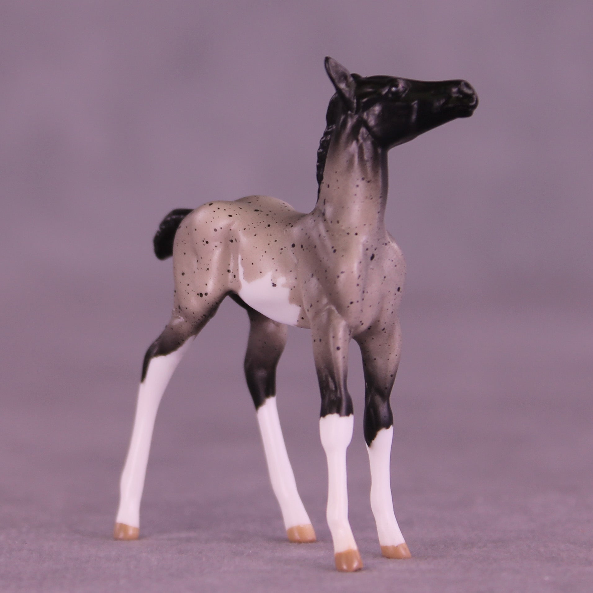 Pixel LE-5 Chip Foal by Anna Rieck February $99 Chips