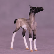 Pixel LE-5 Chip Foal by Anna Rieck February $99 Chips