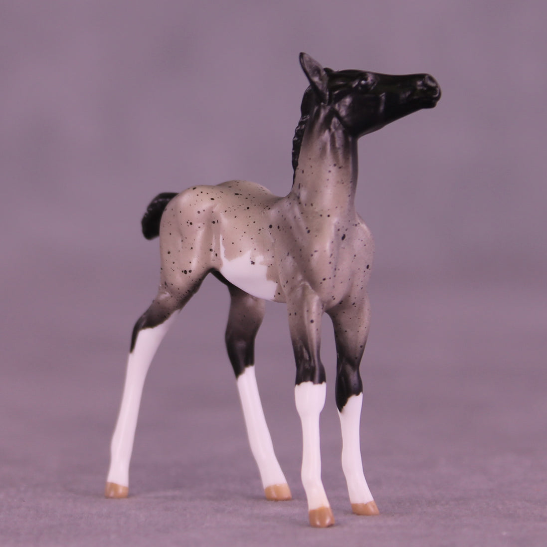 Pixel LE-5 Chip Foal by Anna Rieck February $99 Chips