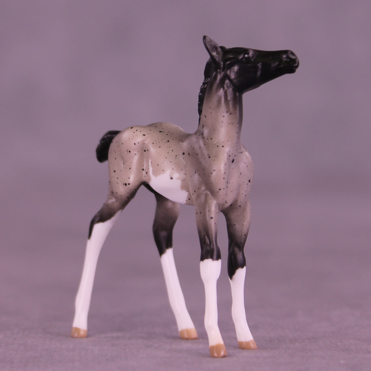 Pixel LE-5 Chip Foal by Anna Rieck February $99 Chips
