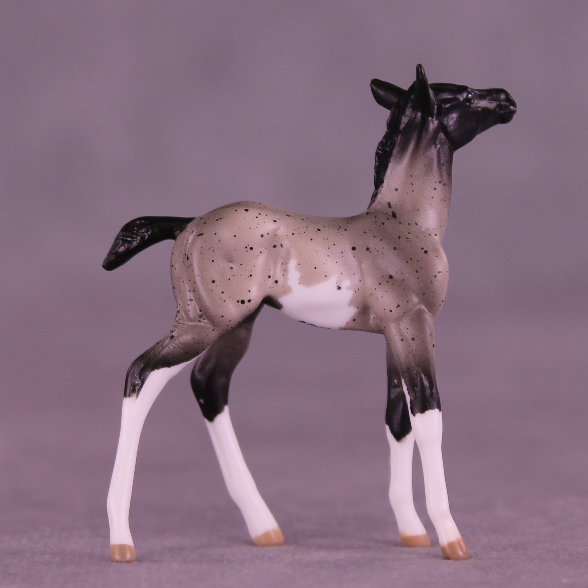 Pixel LE-5 Chip Foal by Anna Rieck February $99 Chips