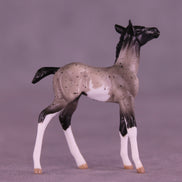 Pixel LE-5 Chip Foal by Anna Rieck February $99 Chips