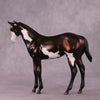 &quot;Sedulous&quot; OOAK Weanling by Julie Keim EQ25