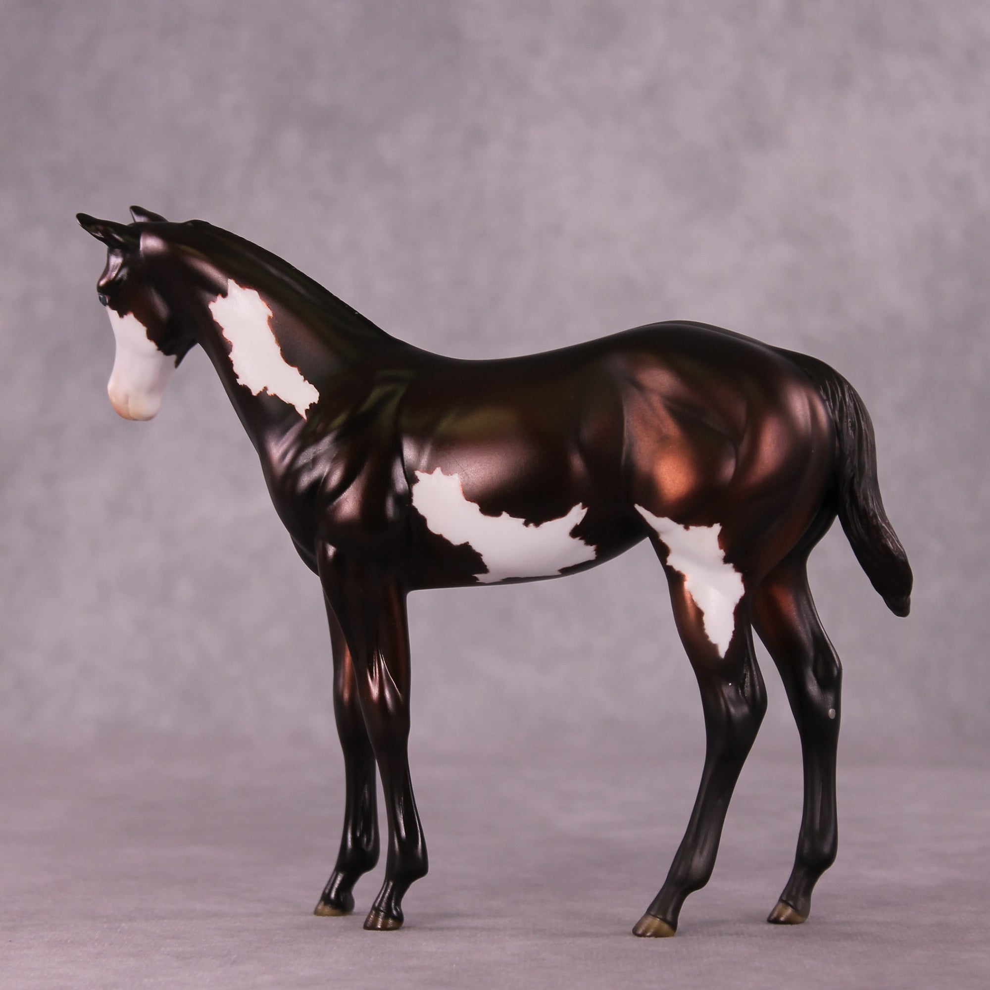 "Sedulous" OOAK Weanling by Julie Keim EQ25