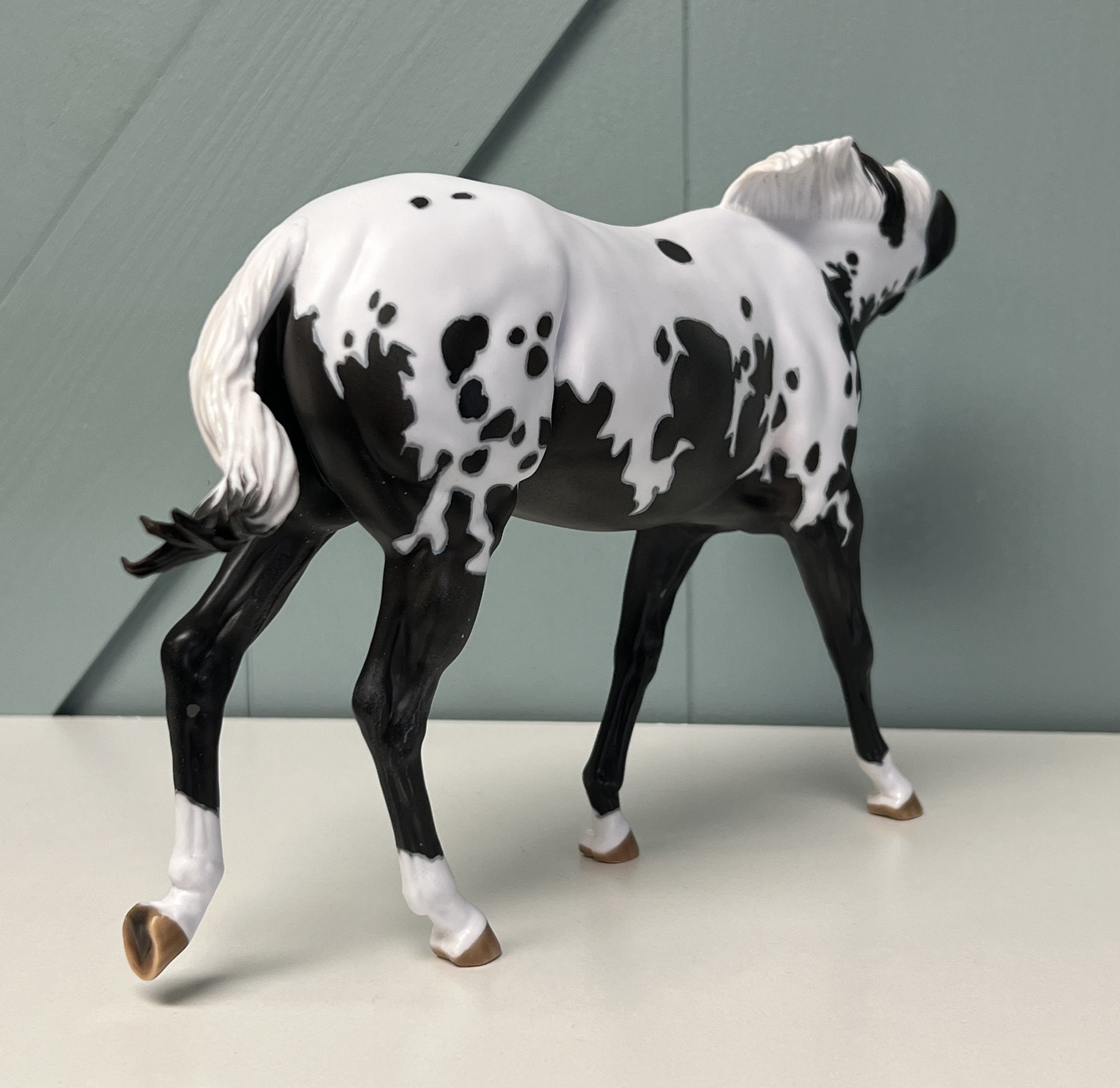 Sprinkles LE 5 Extreme Custom Pintaloosa Mule By Ashley Palmer - SHCF24