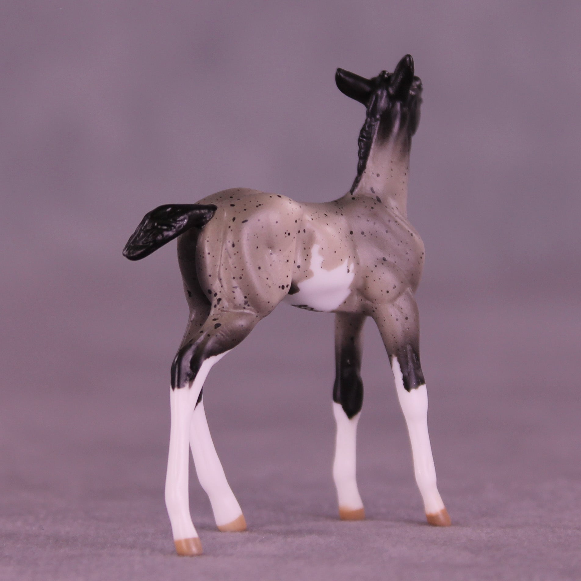 Pixel LE-5 Chip Foal by Anna Rieck February $99 Chips